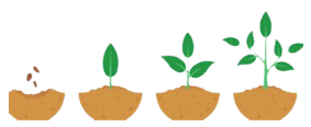Good soil...Our church wants to grow in faith and share it with others